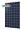 Solar Module